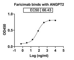 Invitrogen Faricimab Humanized Recombinant Human Monoclonal Antibody 100
