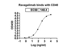Invitrogen Ravagalimab Humanized Recombinant Human Monoclonal Antibody