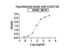 Invitrogen Tepoditamab Recombinant Human Monoclonal Antibody 100 &mu;g;