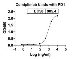 Invitrogen Cemiplimab Recombinant Human Monoclonal Antibody 100 &mu;g;