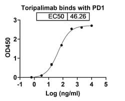 Invitrogen Toripalimab Humanized Recombinant Human Monoclonal Antibody
