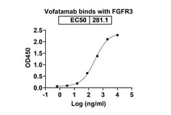 Invitrogen Vofatamab Humanized Recombinant Human Monoclonal Antibody 100 &mu;g | Buy Online | Invitrogen&trade; | Fisher Scientific
