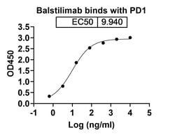 Balstilimab Recombinant Human Monoclonal Antibody:Antibodies, Recombinant