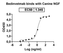 Invitrogen Bedinvetmab Recombinant Canine Monoclonal Antibody 100 &mu;g;
