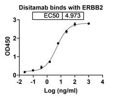 Invitrogen Disitamab Humanized Recombinant Human Monoclonal Antibody 100