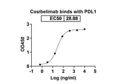 Invitrogen Cosibelimab Recombinant Human Monoclonal Antibody 100 &mu;g;