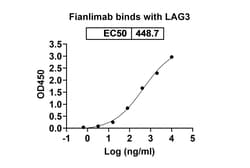Invitrogen Fianlimab Recombinant Human Monoclonal Antibody 100 &mu;g; Unconjugated:Antibodies,