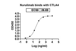 Invitrogen Nurulimab Recombinant Human Monoclonal Antibody 100 &mu;g; Unconjugated:Antibodies,