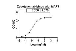 Invitrogen Zagotenemab Humanized Recombinant Human Monoclonal Antibody