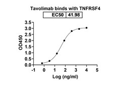 Invitrogen Tavolimab Recombinant Human Monoclonal Antibody 100 &mu;g | Buy Online | Invitrogen&trade; | Fisher Scientific