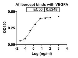 Invitrogen Aflibercept Humanized Recombinant Human Monoclonal Antibody
