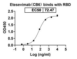 Invitrogen Etesevimab Humanized Recombinant Human Monoclonal Antibody 100