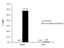 Invitrogen 5-Hydroxymethylcytosine (5-hmC) Monoclonal Antibody (GT513)