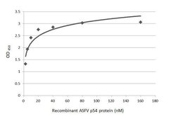 Invitrogen African Swine Fever Virus Structural Protein p54 Monoclonal