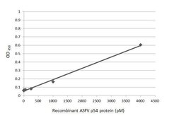 Invitrogen African Swine Fever Virus Structural Protein p54 Monoclonal