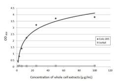 Invitrogen CA19-9 Monoclonal Antibody (GT933) 100 &mu;L; Unconjugated:Antibodies,