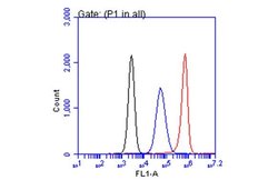 Invitrogen CA19-9 Monoclonal Antibody (GT933) 100 &mu;L; Unconjugated:Antibodies,