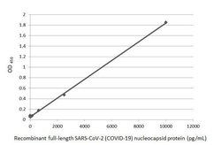 Invitrogen SARS/SARS-CoV-2 Nucleocapsid Monoclonal Antibody (GT113) 100 &mu;L | Buy Online | Invitrogen&trade; | Fisher Scientific