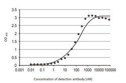 Invitrogen SARS/SARS-CoV-2 Nucleocapsid Monoclonal Antibody (GT113) 100 &mu;L | Buy Online | Invitrogen&trade; | Fisher Scientific