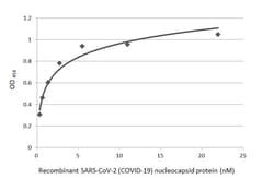 Invitrogen SARS/SARS-CoV-2 Nucleocapsid Recombinant Mouse Monoclonal Antibody