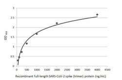 Invitrogen SARS/SARS-CoV-2 Spike Protein S2 Monoclonal Antibody (GT8110)