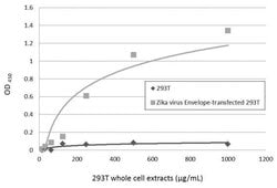 Zika Virus Envelope Protein Monoclonal Antibody (GT363), Invitrogen 100