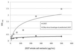 Zika Virus Envelope Protein Monoclonal Antibody (GT363), Invitrogen 100