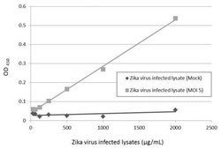 Zika Virus Envelope Protein Monoclonal Antibody (GT363), Invitrogen 100