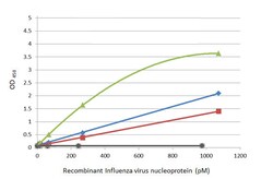 Invitrogen Influenza A NP Recombinant Rabbit Monoclonal Antibody (HL1078)