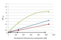 Invitrogen Influenza A NP Recombinant Rabbit Monoclonal Antibody (HL1078)