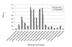 Invitrogen Influenza A NP Recombinant Rabbit Monoclonal Antibody (HL1089)