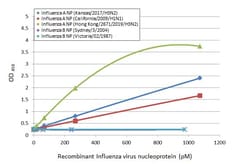 Invitrogen Influenza A NP Recombinant Rabbit Monoclonal Antibody (HL1089)