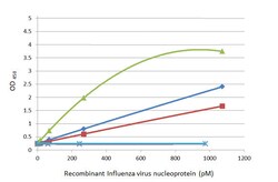 Invitrogen Influenza A NP Recombinant Rabbit Monoclonal Antibody (HL1089) 100 &mu;L | Buy Online | Invitrogen&trade; | Fisher Scientific