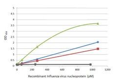 Invitrogen Influenza A NP Recombinant Rabbit Monoclonal Antibody (HL1089) 100 &mu;L | Buy Online | Invitrogen&trade; | Fisher Scientific
