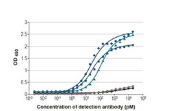 Invitrogen Influenza A NP Recombinant Rabbit Monoclonal Antibody (HL1089) 100 &mu;L | Buy Online | Invitrogen&trade; | Fisher Scientific