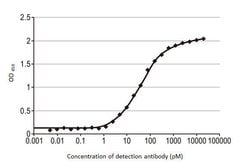 Invitrogen Influenza A NP Recombinant Rabbit Monoclonal Antibody (HL1089)