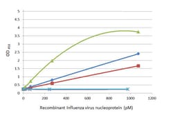 Invitrogen Influenza A NP Recombinant Rabbit Monoclonal Antibody (HL1103)