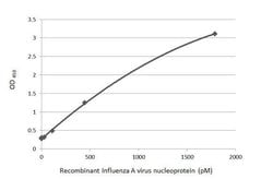 Invitrogen Influenza A NP Recombinant Rabbit Monoclonal Antibody (HL1103)