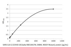 Invitrogen SARS-CoV-2 Spike Protein (RBD) Recombinant Rabbit Monoclonal