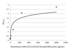 Invitrogen SARS-CoV-2 Spike Protein (RBD) Recombinant Rabbit Monoclonal