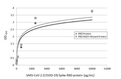 Invitrogen SARS-CoV-2 Spike Protein (RBD) Recombinant Rabbit Monoclonal
