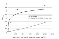Invitrogen SARS-CoV-2 Spike Protein (RBD) Recombinant Rabbit Monoclonal