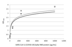 Invitrogen SARS-CoV-2 Spike Protein (RBD) Recombinant Rabbit Monoclonal