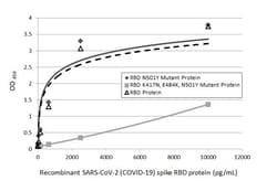 Invitrogen SARS-CoV-2 Spike Protein (RBD) Recombinant Rabbit Monoclonal