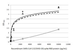 Invitrogen SARS-CoV-2 Spike Protein (RBD) Recombinant Rabbit Monoclonal