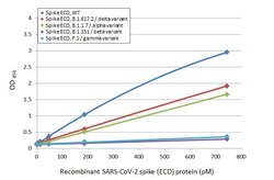 Invitrogen SARS-CoV-2 Spike Protein (RBD) Recombinant Rabbit Monoclonal