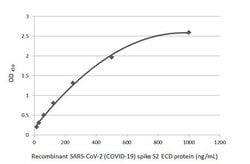 Invitrogen SARS-CoV-2 Spike Protein S2 Recombinant Rabbit Monoclonal Antibody (HL1039) 100 &mu;L | Buy Online | Invitrogen&trade; | Fisher Scientific