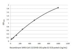 Invitrogen SARS-CoV-2 Spike Protein S2 Recombinant Rabbit Monoclonal Antibody (HL1039) 100 &mu;L | Buy Online | Invitrogen&trade; | Fisher Scientific