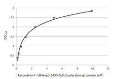 Invitrogen SARS/SARS-CoV-2 Spike Protein S2 Recombinant Rabbit Monoclonal