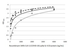 Invitrogen SARS/SARS-CoV-2 Spike Protein S2 Recombinant Rabbit Monoclonal